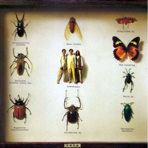 欧美老妇bbwxxxxssss
