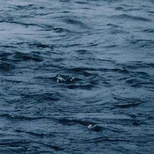 欧美老妇bbwxxxxssss
